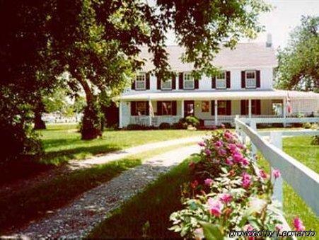 Lazyjack Inn On Dogwood Harbor Tilghman Island Exterior foto